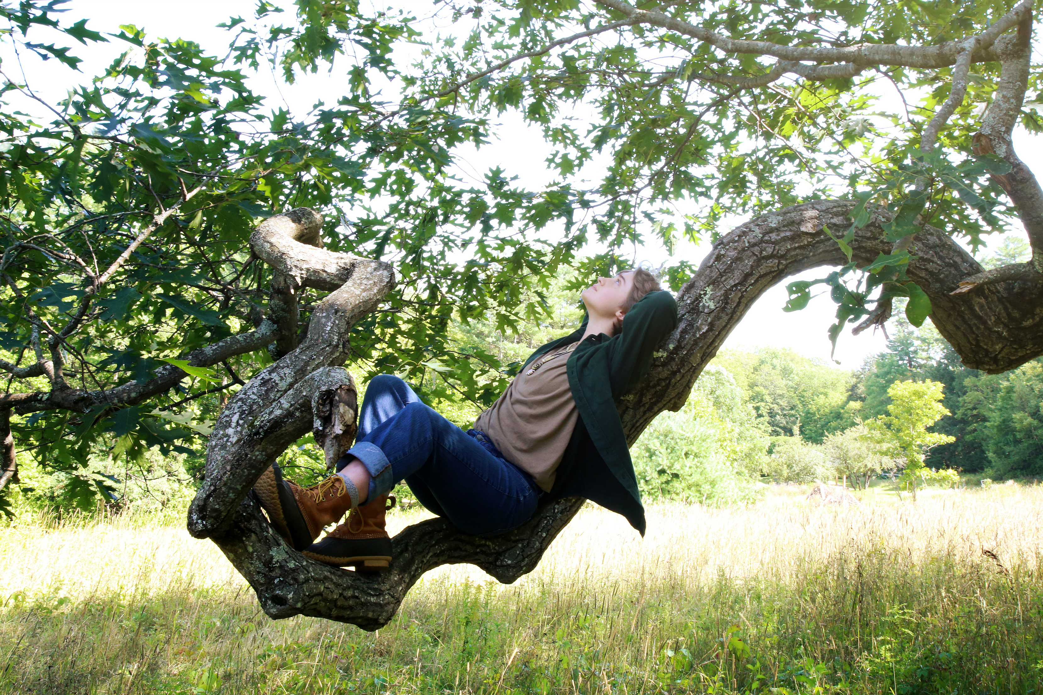 This is a picture of me laying on a tree branch while staring up into the sky. Photo taken by Danikah Chartier.